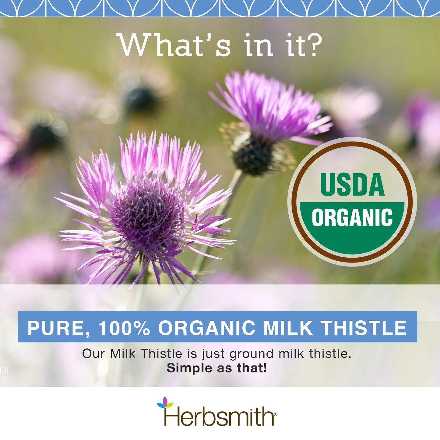 Organic Milk Thistle for Dogs and Cats – Liver Supplement for Dogs & Cats – Made in USA – 75G Powder